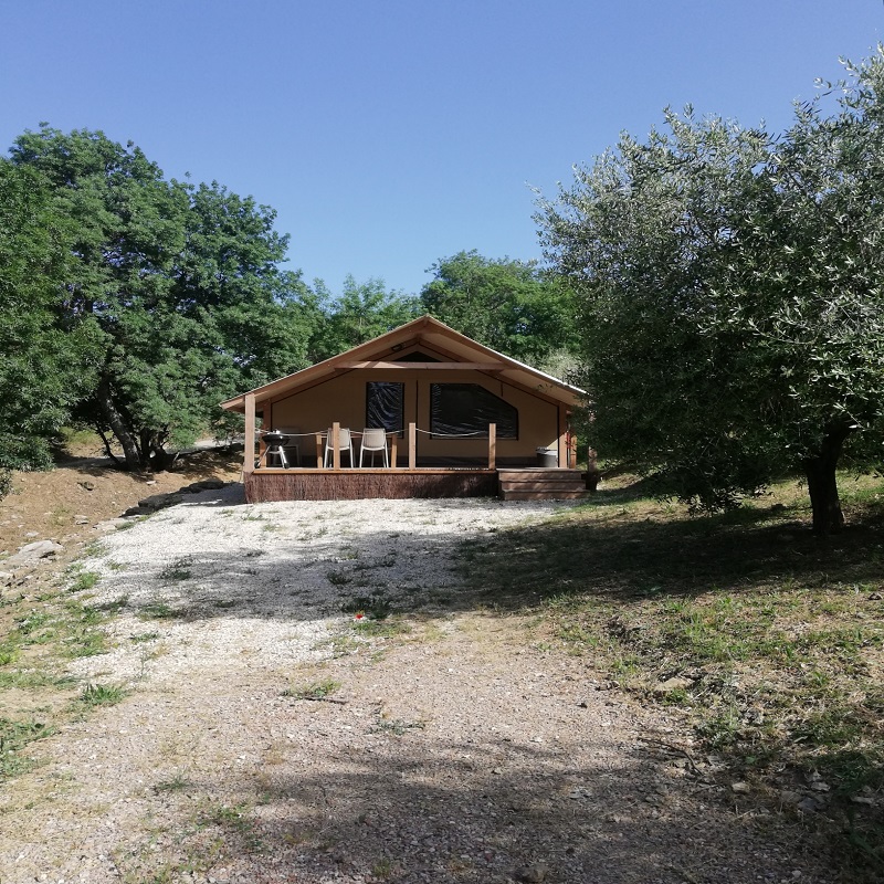 GRAIN LODGE